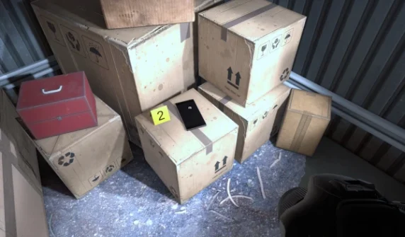 Bodies of 5 infants found in cardboard boxes in France;