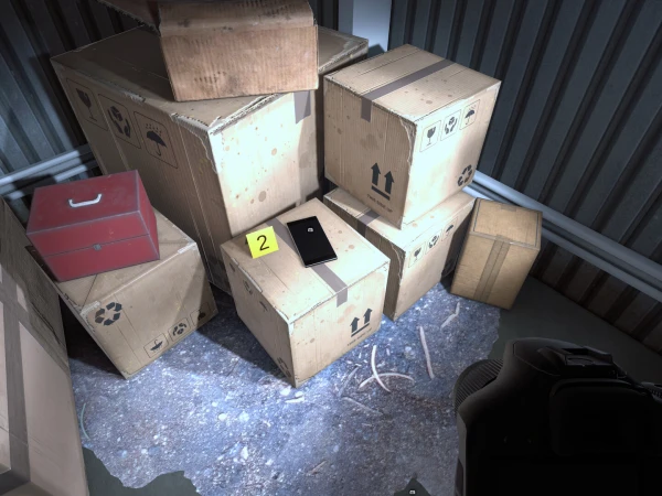 Bodies of 5 infants found in cardboard boxes in France;