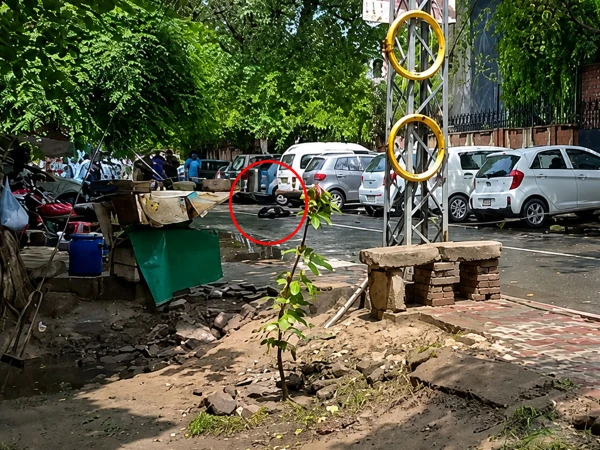 11kV power lines fell on a female passerby