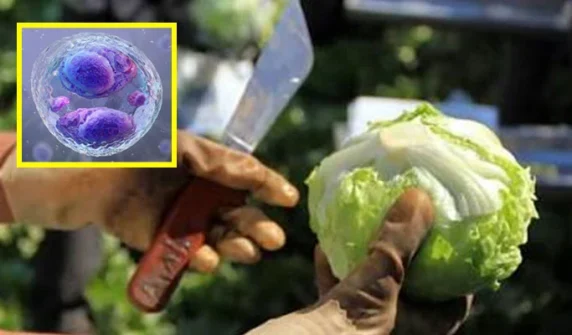 2 deaths, thousands affected by dangerous Cyclospora outbreak