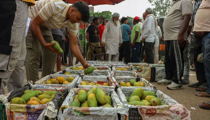 Global objections to Indian agricultural exports have increased.