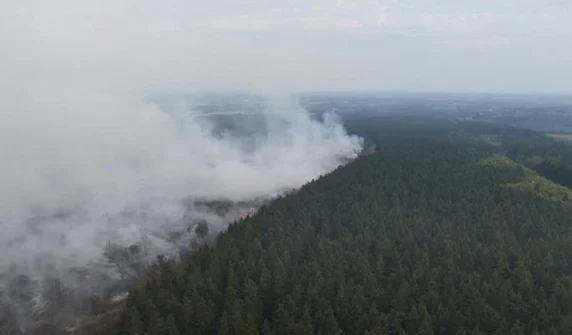 Forest fire begins spreading towards the German border