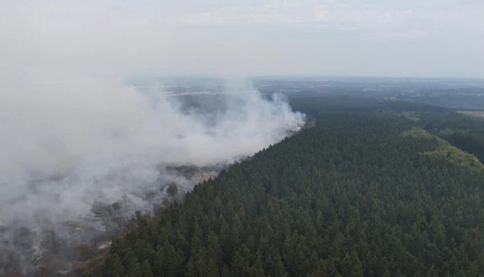 Forest fire begins spreading towards the German border