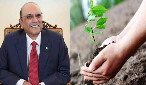 Tree protection and plantation are a national responsibility: President Zardari