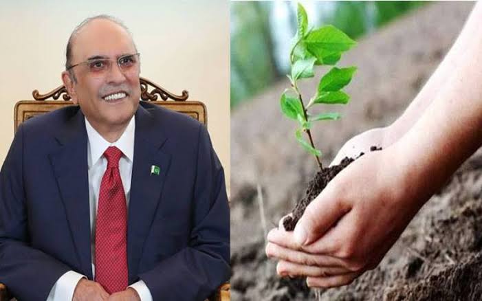 Tree protection and plantation are a national responsibility: President Zardari