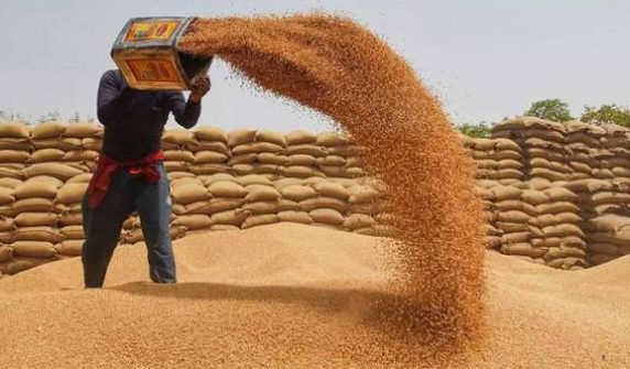 New wheat price in Punjab fixed at Rs 3,800 per maund.