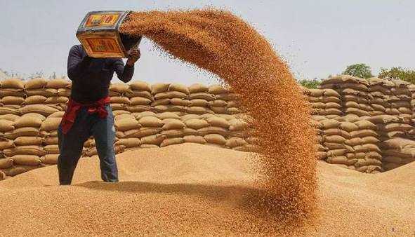 New wheat price in Punjab fixed at Rs 3,800 per maund.