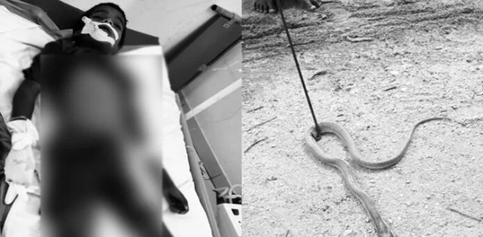 Third-grade student dies after being bitten by a snake in the classroom.