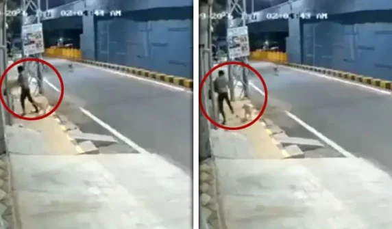 Stray dogs sent the boy who was harassing a woman running for his life.