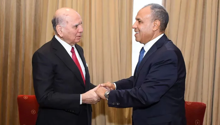 Iraqi, Egyptian foreign ministers meet in Cairo