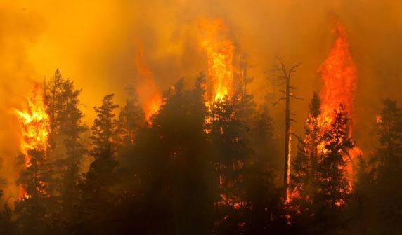 Wildfire smoke can be more harmful than other forms of air pollution