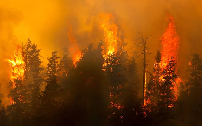 Wildfire smoke can be more harmful than other forms of air pollution