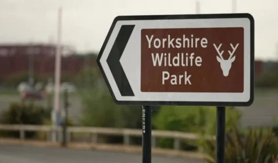 Man killed in lion attack at Yorkshire Wildlife Park