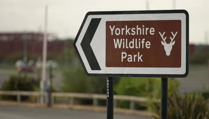 Man killed in lion attack at Yorkshire Wildlife Park