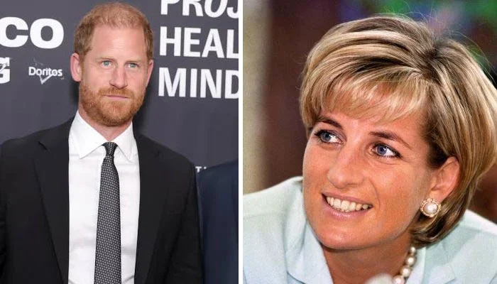 Prince Harry faces harsh criticism on social media over remarks regarding Lady Diana.
